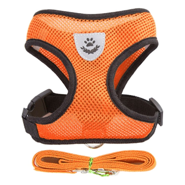 Adjustable Mesh Cat Harness Vest with Walking Lead Leash