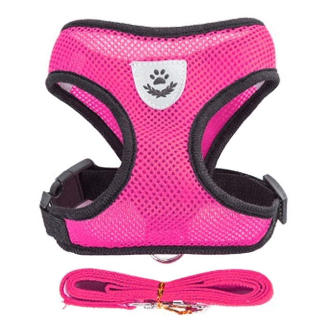 Adjustable Mesh Cat Harness Vest with Walking Lead Leash