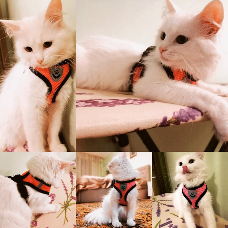 Adjustable Mesh Cat Harness Vest with Walking Lead Leash